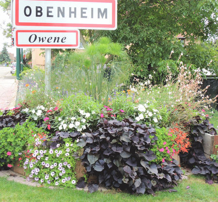 Obenheim